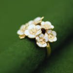 MG_2529-150x150.jpg